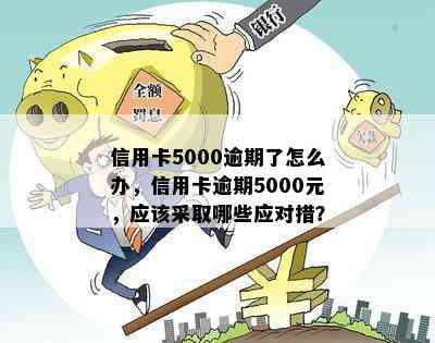 信用卡5000逾期了怎么办，信用卡逾期5000元，应该采取哪些应对措？