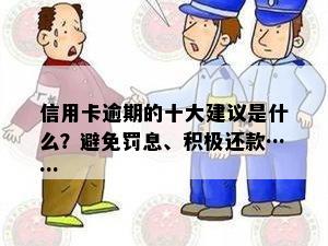 信用卡逾期的十大建议是什么？避免罚息、积极还款……