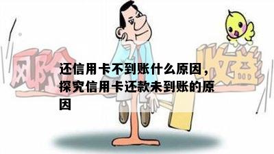 还信用卡不到账什么原因，探究信用卡还款未到账的原因