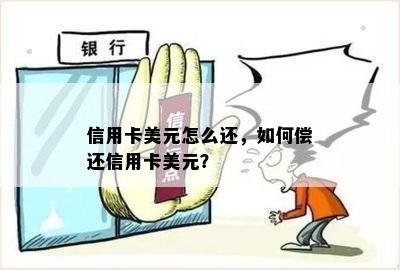 信用卡美元怎么还，如何偿还信用卡美元？