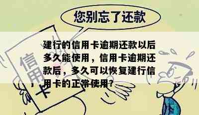 建行的信用卡逾期还款以后多久能使用，信用卡逾期还款后，多久可以恢复建行信用卡的正常使用？