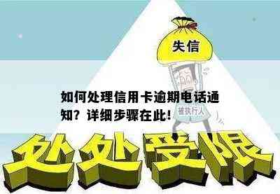 如何处理信用卡逾期电话通知？详细步骤在此！