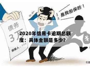 2020年信用卡逾期总额度：具体金额是多少？