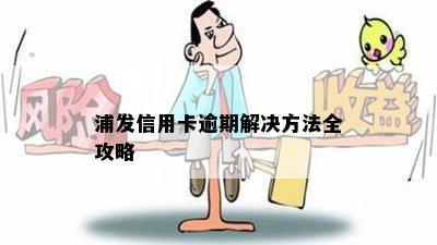 浦发信用卡逾期解决方法全攻略