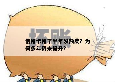 信用卡用了半年没额度？为何多年仍未提升？