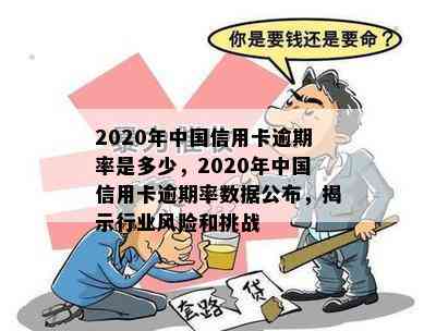 2020年中国信用卡逾期率是多少，2020年中国信用卡逾期率数据公布，揭示行业风险和挑战