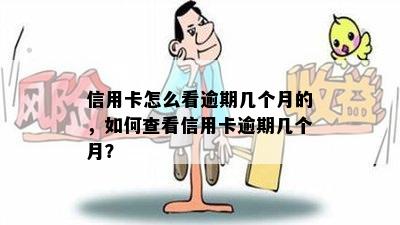 信用卡怎么看逾期几个月的，如何查看信用卡逾期几个月？