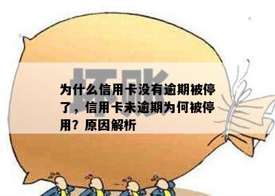 为什么信用卡没有逾期被停了，信用卡未逾期为何被停用？原因解析