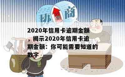 2020年信用卡逾期金额，揭示2020年信用卡逾期金额：你可能需要知道的数字