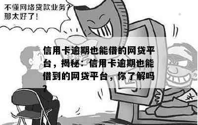 信用卡逾期也能借的网贷平台，揭秘：信用卡逾期也能借到的网贷平台，你了解吗？