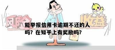 能举报信用卡逾期不还的人吗？在知乎上有奖励吗？