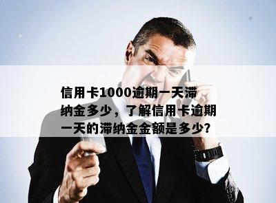 信用卡1000逾期一天滞纳金多少，了解信用卡逾期一天的滞纳金金额是多少？