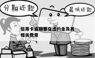 信用卡逾期要交违约金及其相关费用