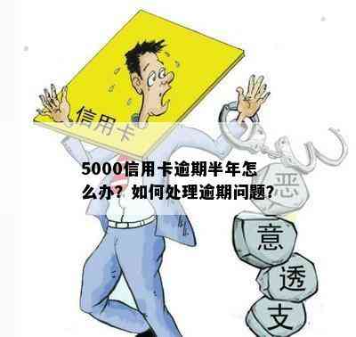 5000信用卡逾期半年怎么办？如何处理逾期问题？