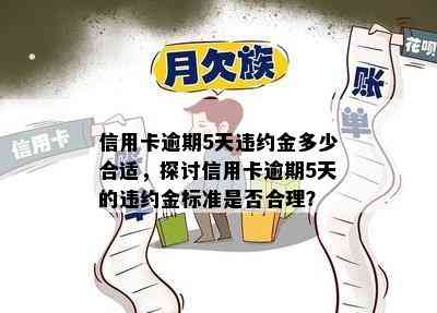 信用卡逾期5天违约金多少合适，探讨信用卡逾期5天的违约金标准是否合理？