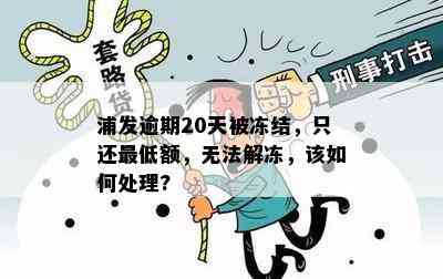 浦发逾期20天被冻结，只还更低额，无法解冻，该如何处理?