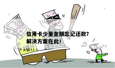 信用卡少量金额忘记还款？解决方案在此！