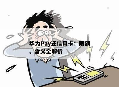 华为Pay还信用卡：限额、含义全解析