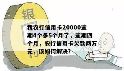 我农行信用卡20000逾期4个多5个月了，逾期四个月，农行信用卡欠款两万元，该如何解决？