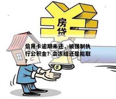 信用卡逾期未还，被强制执行公积金？会冻结还是能取？