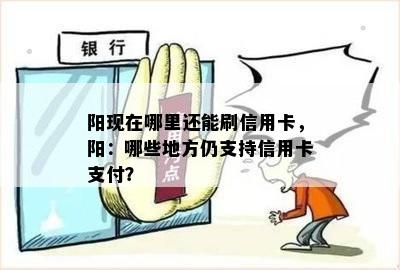 阳现在哪里还能刷信用卡，阳：哪些地方仍支持信用卡支付？