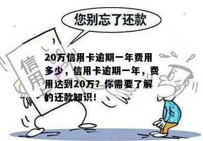 20万信用卡逾期一年费用多少，信用卡逾期一年，费用达到20万？你需要了解的还款知识！