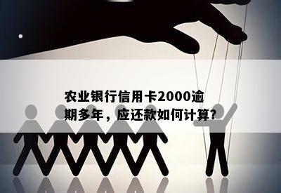 农业银行信用卡2000逾期多年，应还款如何计算？