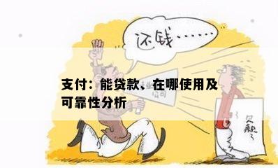 支付：能贷款、在哪使用及可靠性分析