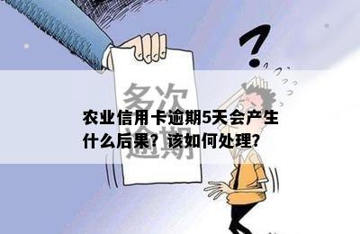 农业信用卡逾期5天会产生什么后果？该如何处理？