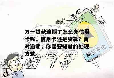 万一贷款逾期了怎么办信用卡呢，信用卡还是贷款？面对逾期，你需要知道的处理方式