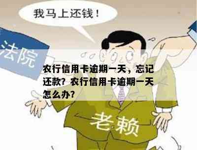 农行信用卡逾期一天，忘记还款？农行信用卡逾期一天怎么办？