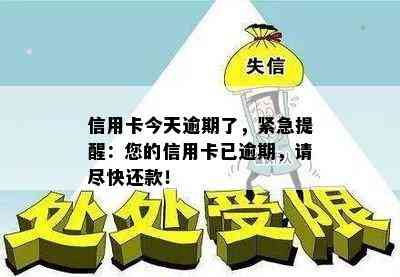 信用卡今天逾期了，紧急提醒：您的信用卡已逾期，请尽快还款！