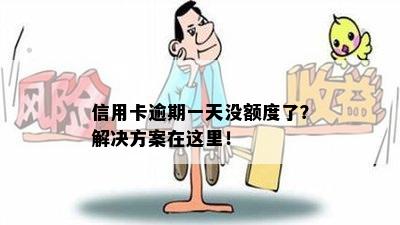 信用卡逾期一天没额度了？解决方案在这里！