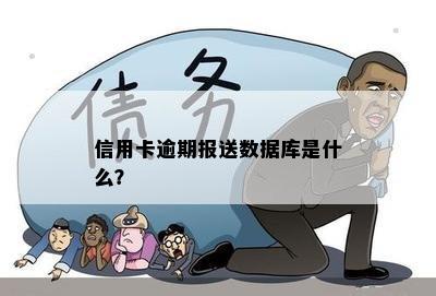 信用卡逾期报送数据库是什么？