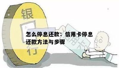 怎么停息还款：信用卡停息还款方法与步骤