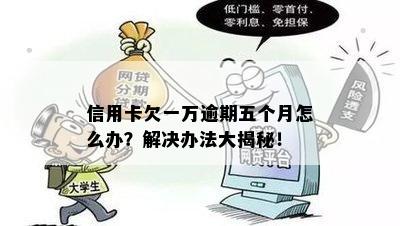 信用卡欠一万逾期五个月怎么办？解决办法大揭秘！