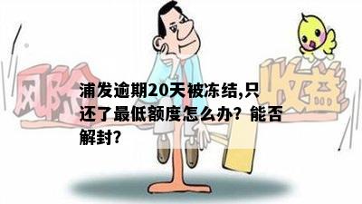 浦发逾期20天被冻结,只还了更低额度怎么办？能否解封？