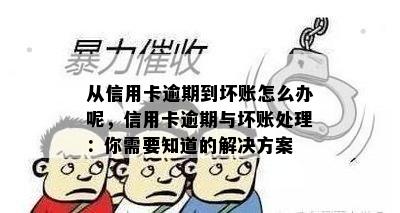 从信用卡逾期到坏账怎么办呢，信用卡逾期与坏账处理：你需要知道的解决方案