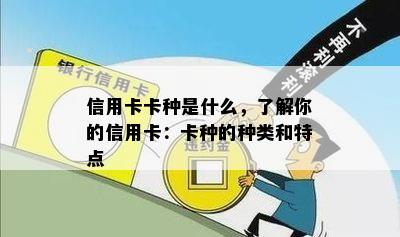 信用卡卡种是什么，了解你的信用卡：卡种的种类和特点