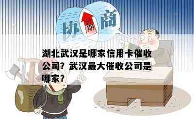 湖北武汉是哪家信用卡公司？武汉更大公司是哪家？