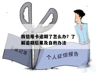 我信用卡逾期了怎么办？了解逾期后果及自救办法