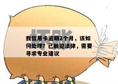 我信用卡逾期2个月，该如何处理？已触犯法律，需要寻求专业建议