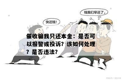 骗我只还本金：是否可以报警或投诉？该如何处理？是否违法？