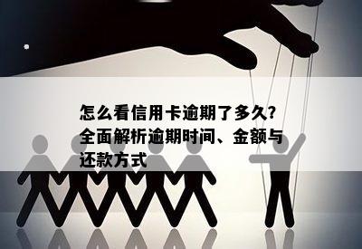 怎么看信用卡逾期了多久？全面解析逾期时间、金额与还款方式