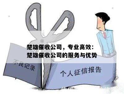 楚雄公司，专业高效：楚雄公司的服务与优势