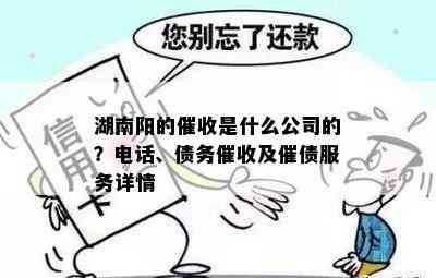 湖南阳的是什么公司的？电话、债务及催债服务详情