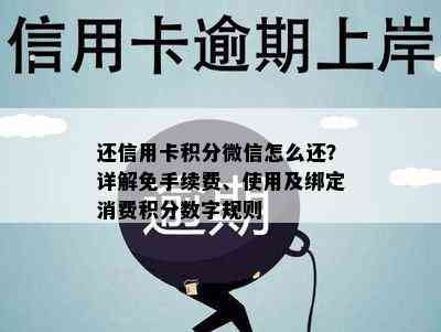 还信用卡积分微信怎么还？详解免手续费、使用及绑定消费积分数字规则