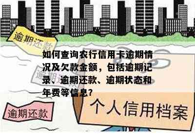 如何查询农行信用卡逾期情况及欠款金额，包括逾期记录、逾期还款、逾期状态和年费等信息？