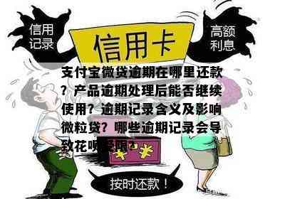 支付宝微贷逾期在哪里还款？产品逾期处理后能否继续使用？逾期记录含义及影响微粒贷？哪些逾期记录会导致花呗受限？