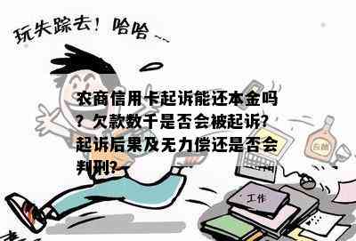 农商信用卡起诉能还本金吗？欠款数千是否会被起诉？起诉后果及无力偿还是否会判刑？